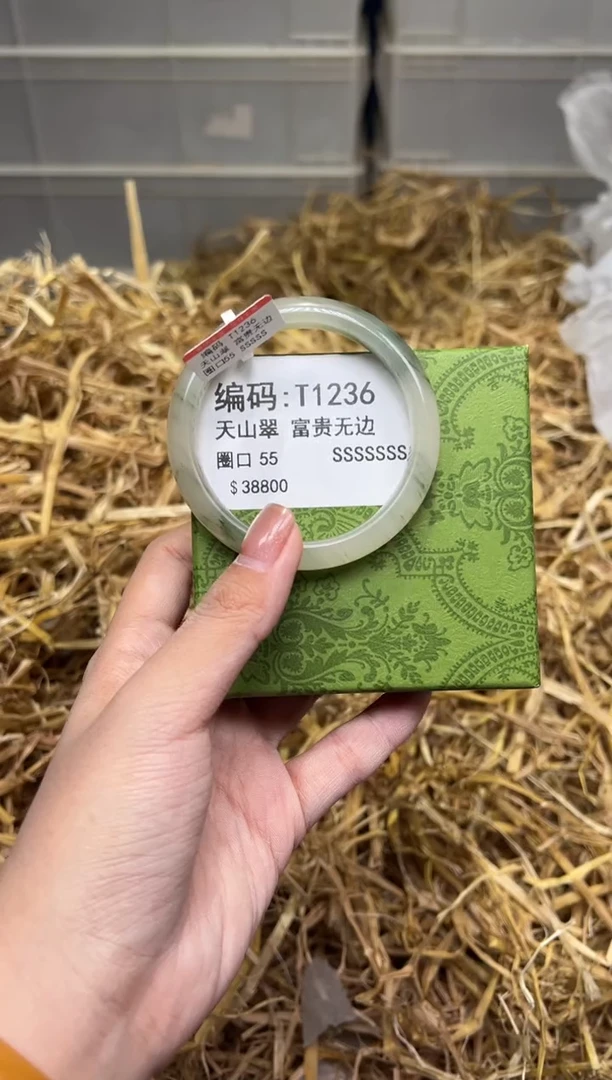 未镶嵌手镯石英质玉T1236