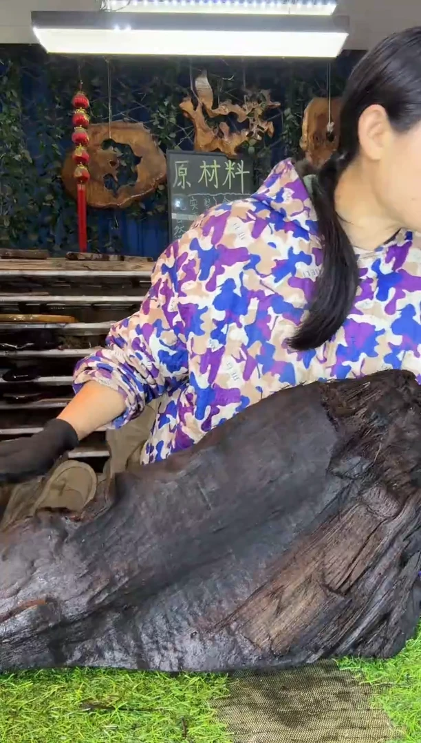 金丝楠小叶桢楠85