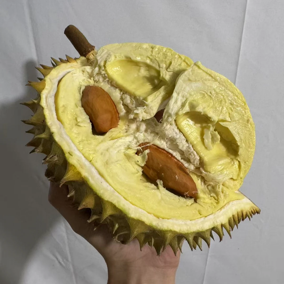 【 定制系列 A果】优点更干包 糯甜老树果树熟新鲜金枕榴莲一级肉