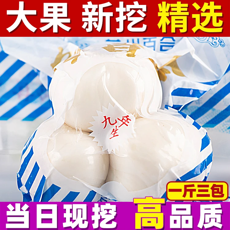 甘健辉兰州百合新鲜百合食用甜百合新挖甘肃土特产三头皇500g包邮