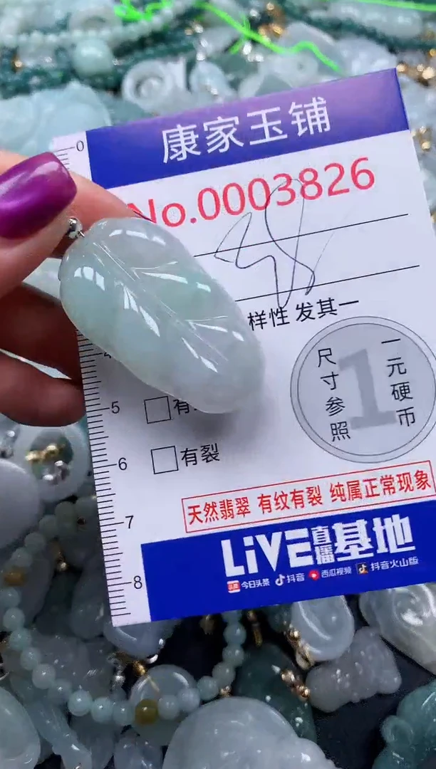 颈饰未镶嵌翡翠3826