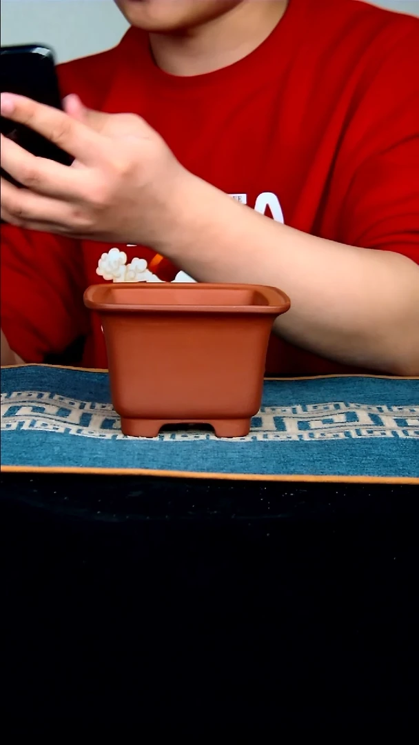 【闪购商品】紫砂花盆10.5*7内径尺寸