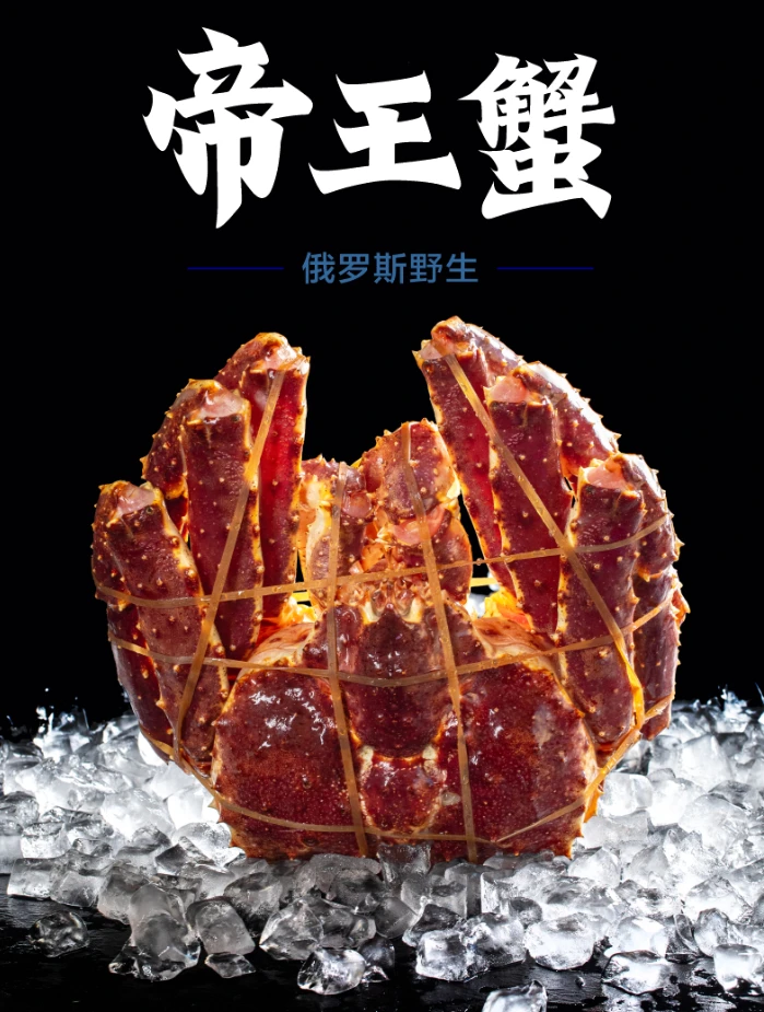 活冻款帝王蟹8斤+以上（5%-10%冰衣）