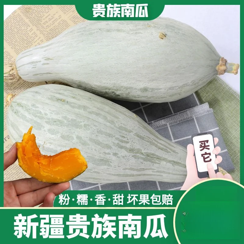 正宗新疆贵族南瓜金丝栗板栗南瓜沙漠农产品丑瓜倭瓜宝宝辅食甜糯