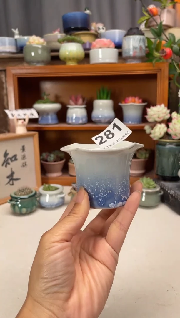 瓷片281知木小芳花盆
