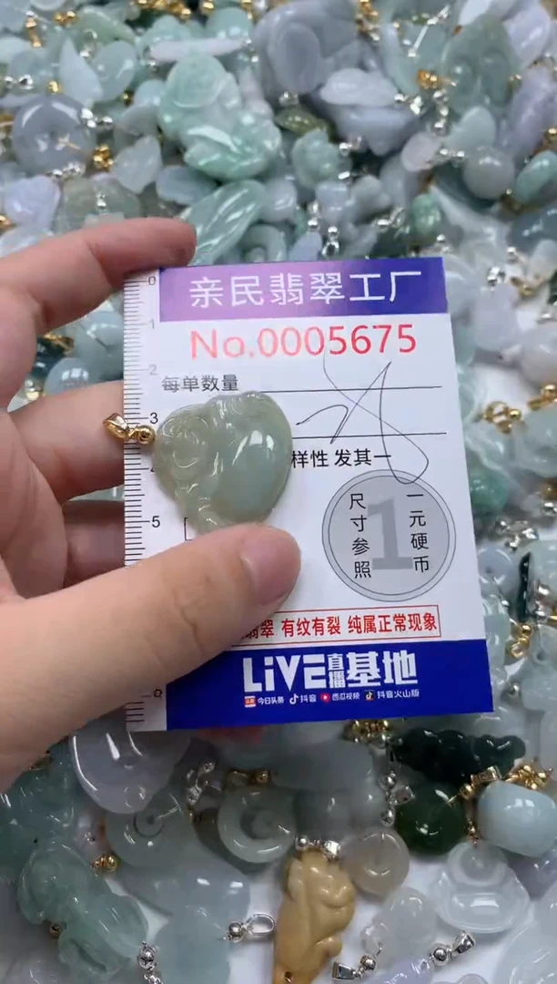 翡翠未镶嵌颈饰5675