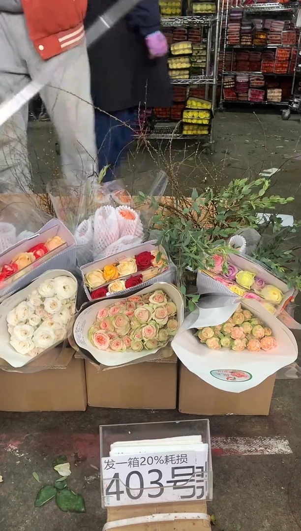 403号♥中通不指定随机颜色含20%耗损发一箱鲜花
