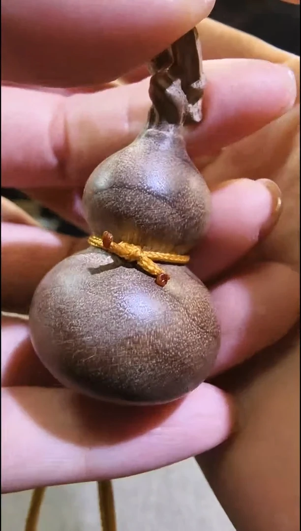 金丝      楠龙头小葫芦