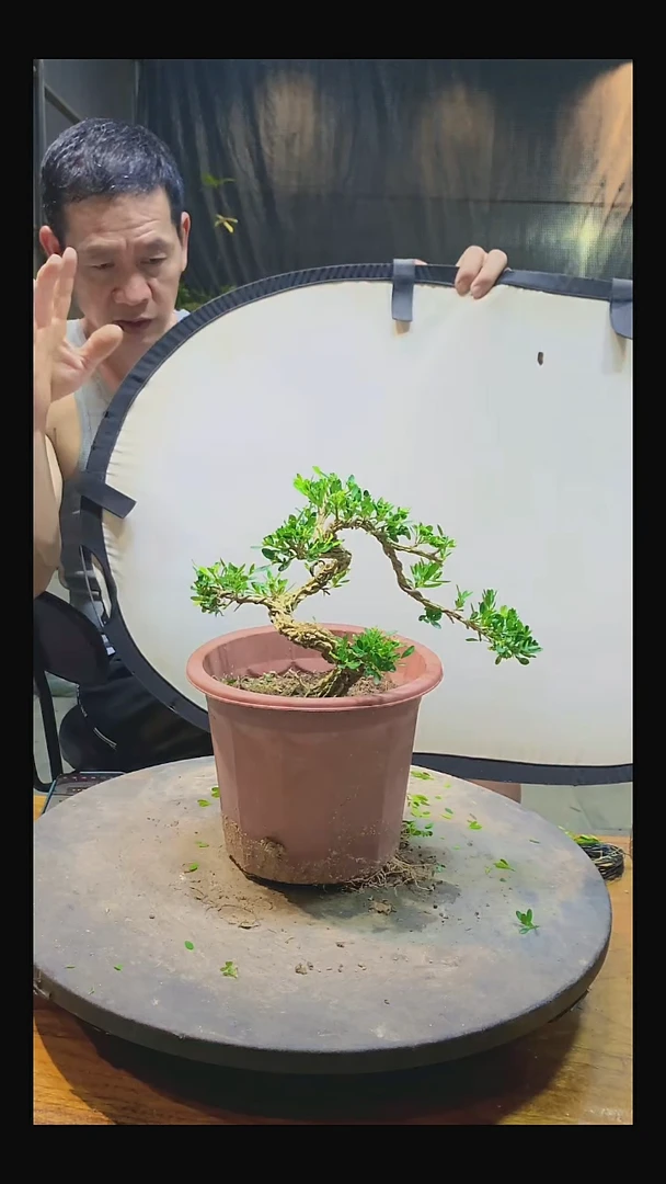 完全开放厉*111111111111