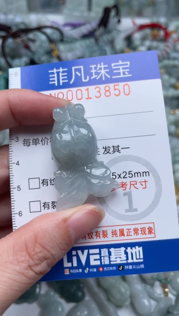 颈饰未镶嵌翡翠13850