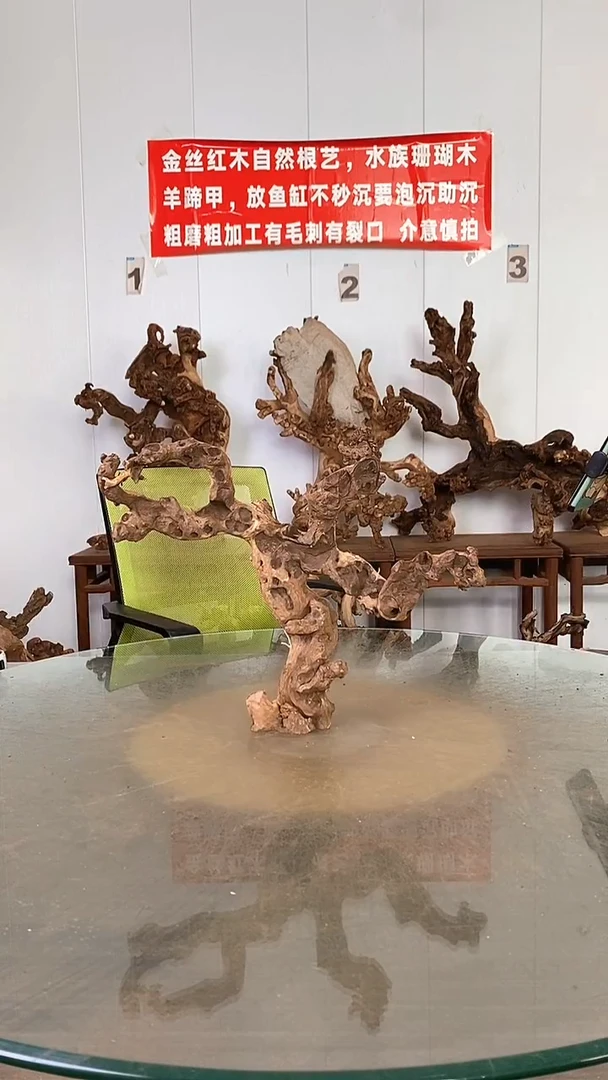 香榧木时**者金丝红木   羊蹄甲