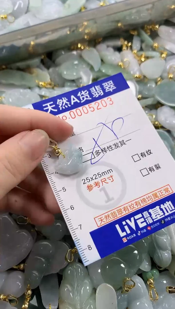 颈饰未镶嵌翡翠天然A货翡翠