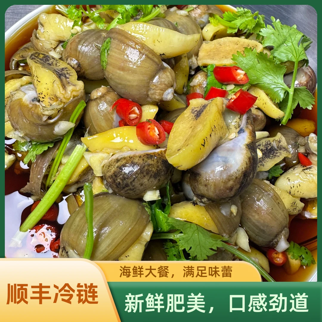 鲍螺金舟家鲍螺捞汁鲍螺老婆脚一桶700克含汤收到冷冻保存顺丰冷链美食