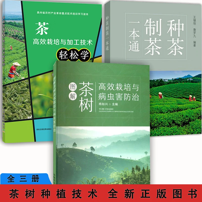 图解茶树高效栽培与病虫害防治种茶制茶一本通高效栽培与加工技术
