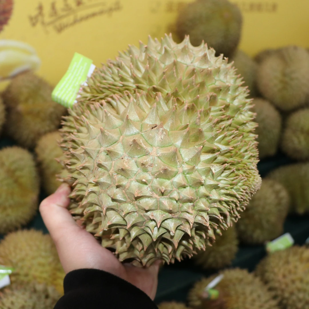 泰国金枕鲜榴莲核小一果一拍/斤（5号）金枕泰国