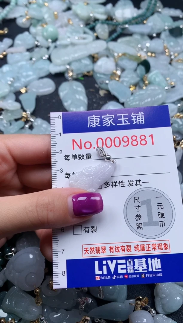 颈饰未镶嵌翡翠9881