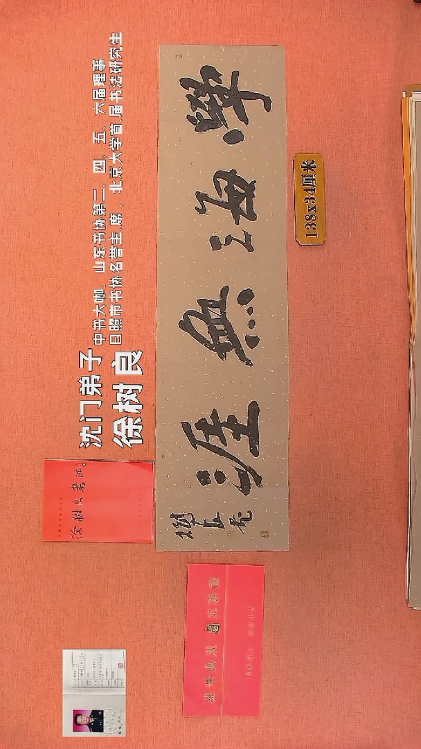 【闪购商品】书法72        徐树良书法作品