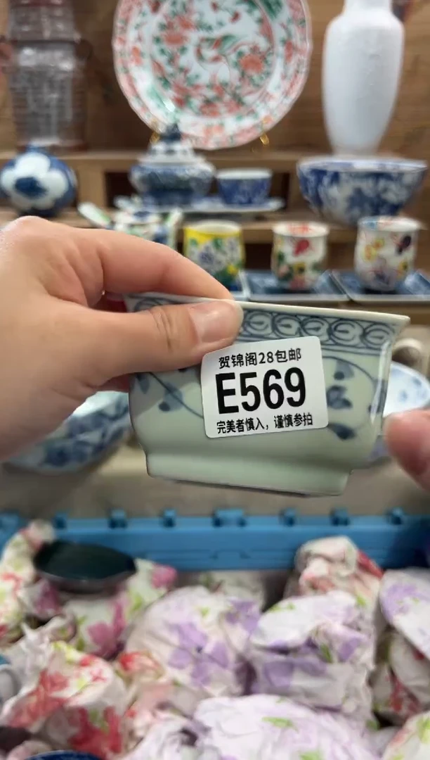 瓷片柳*.       E569