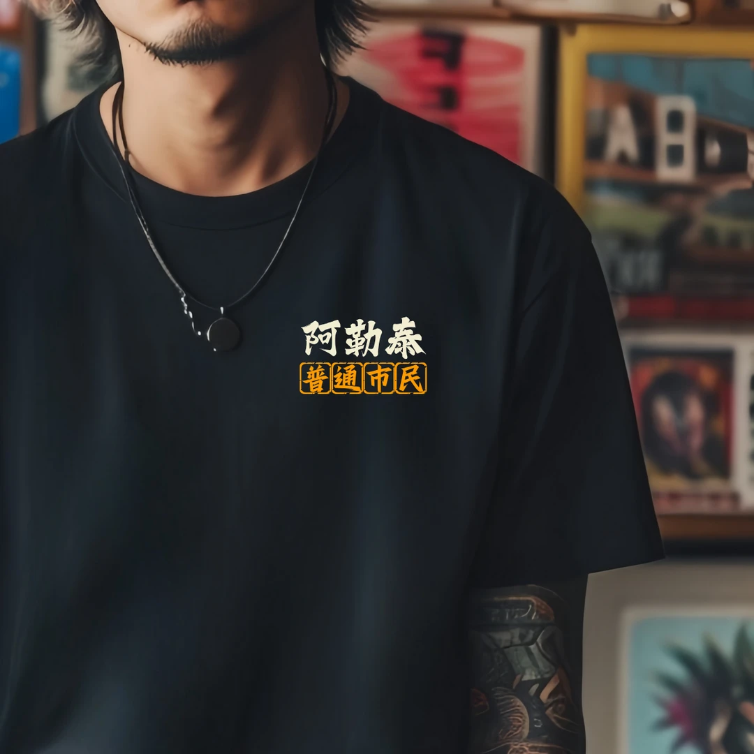 阿勒泰城市各地区名称印花文化衫夏季短袖圆领国潮男宽松T恤纯棉