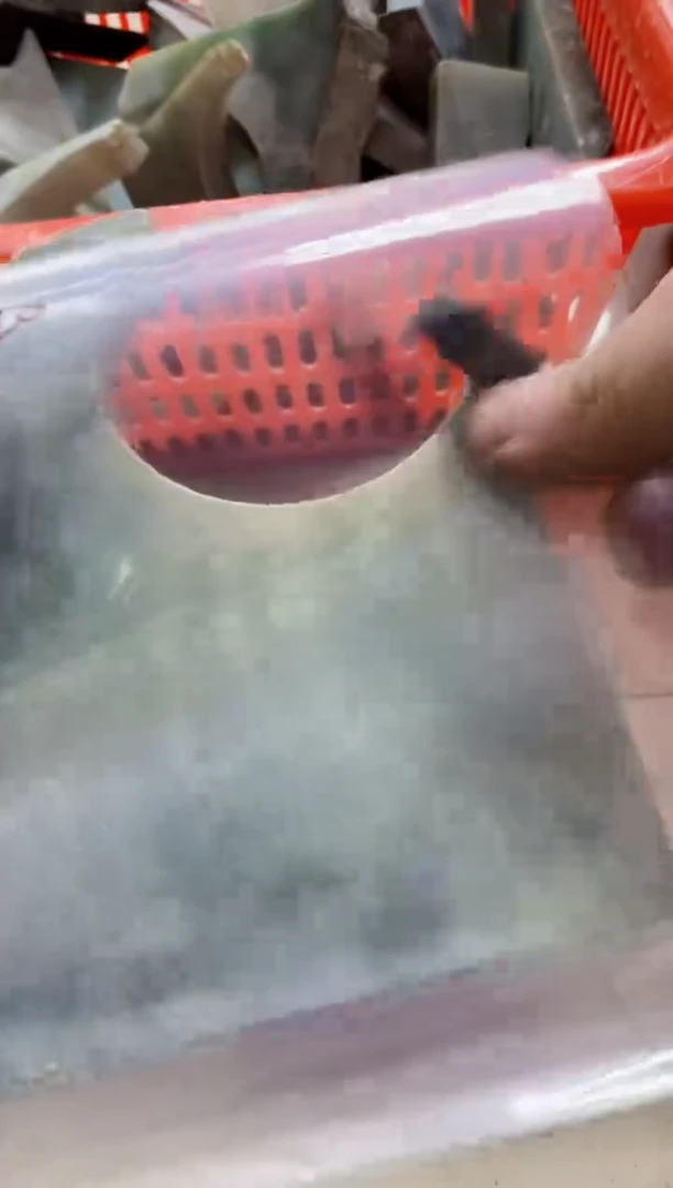 【闪购商品】翡翠颈饰未镶嵌120天然翡翠