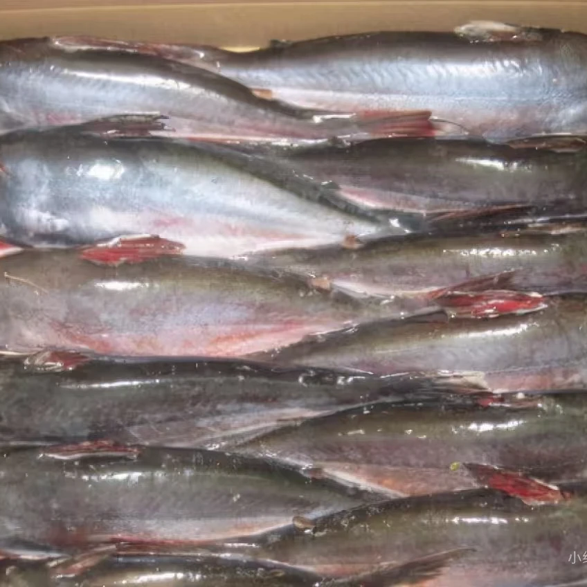 《同城配送》开背巴沙鱼