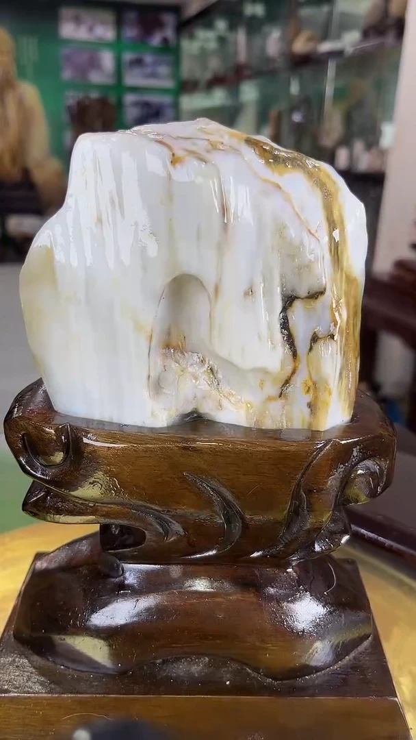 硅化玉珠宝奇石未镶嵌缅甸天然树化玉摆件
