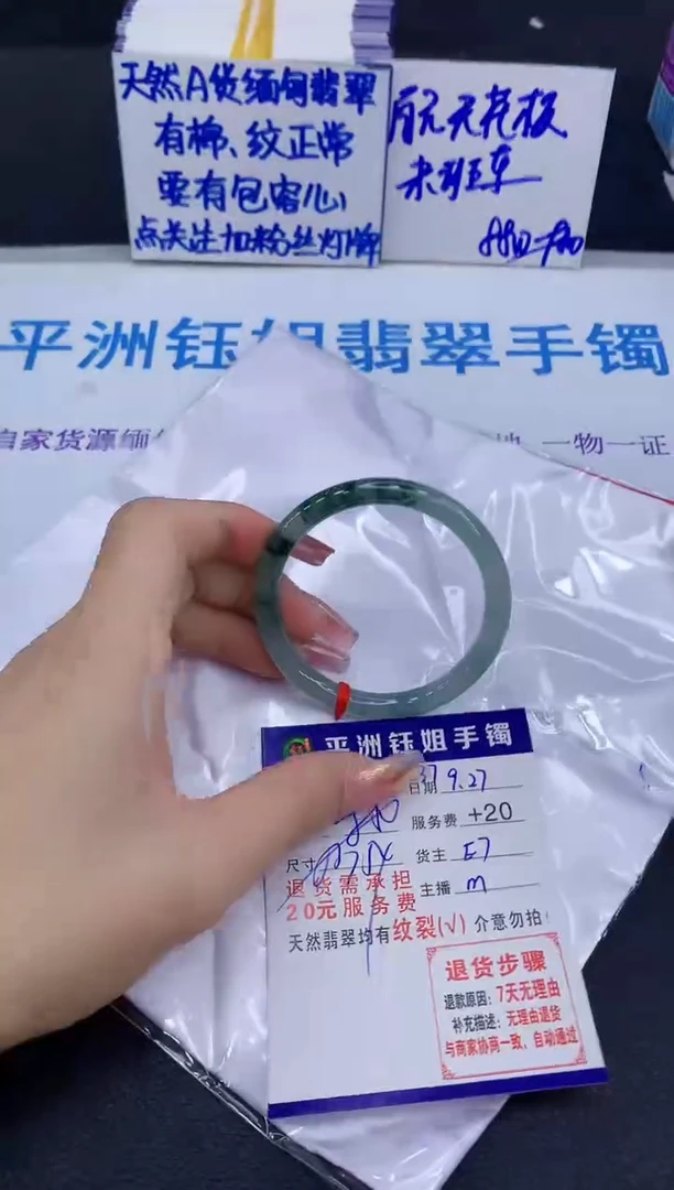 未镶嵌手镯翡翠111111