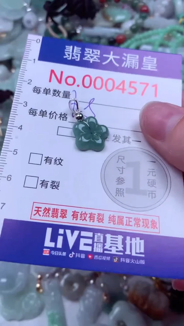 吊坠(不含链)未镶嵌翡翠4571