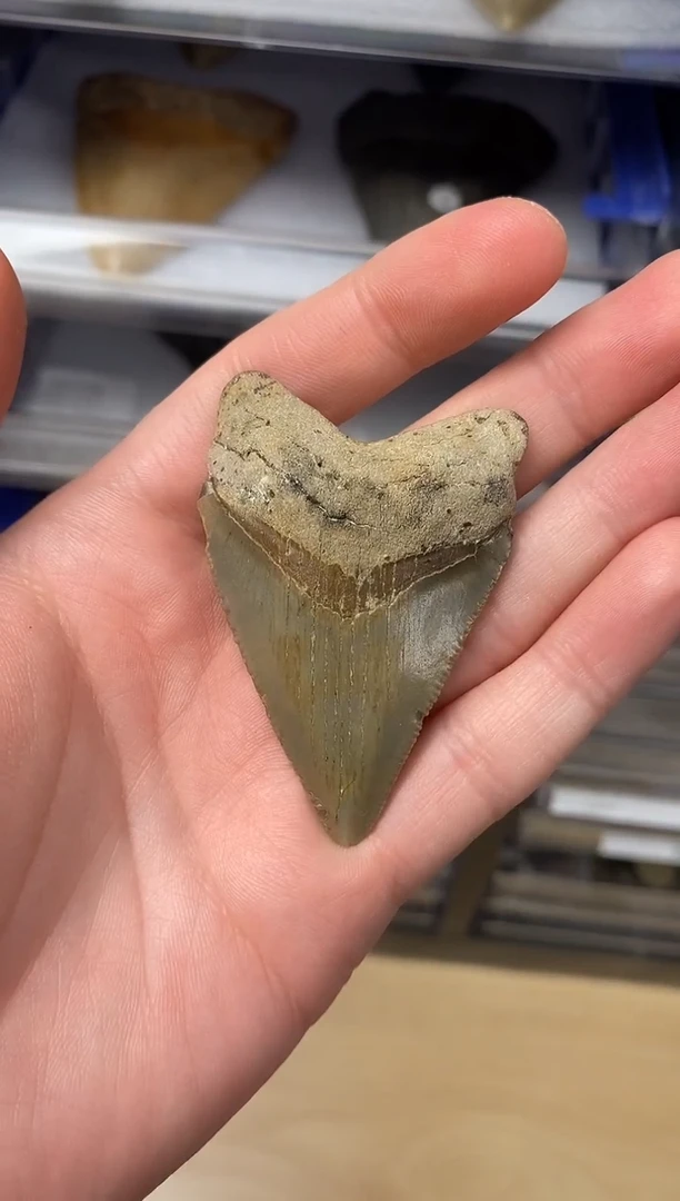 拍精美摆件创意礼物家居配饰新年礼物个人收藏