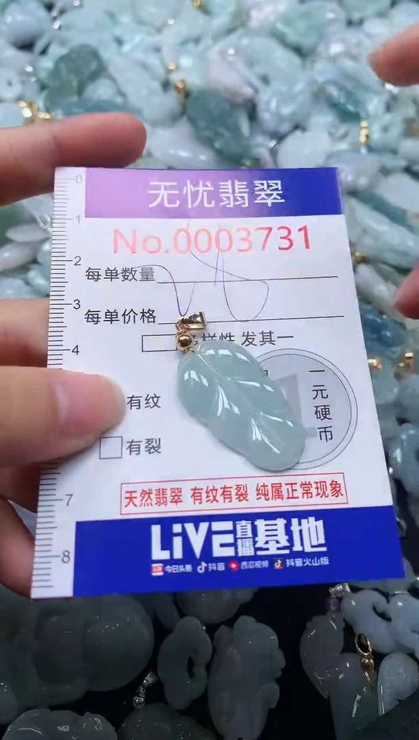 颈饰未镶嵌翡翠8731