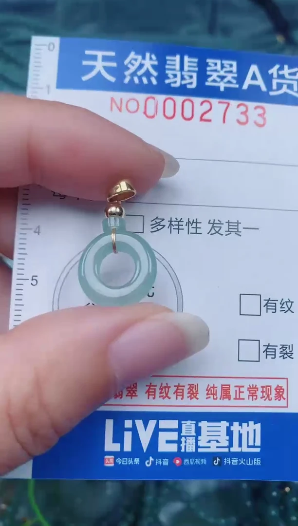 颈饰未镶嵌翡翠00002733