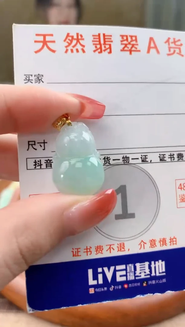 颈饰未镶嵌翡翠天然A货翡翠挂件