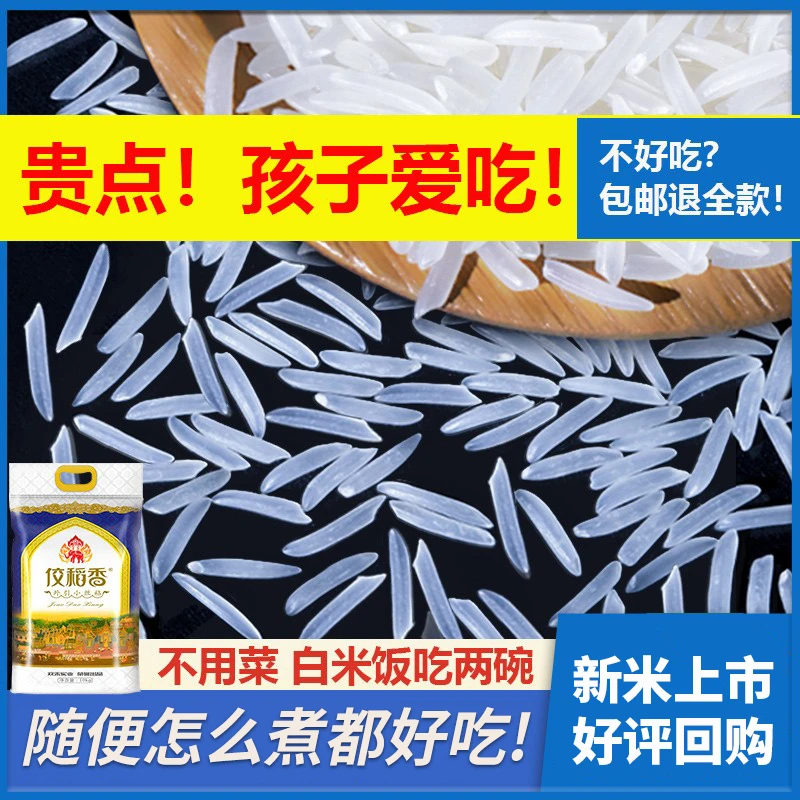 精选猫牙米2025年新米正宗长粒香丝苗米煲仔饭专用官方旗舰店10斤