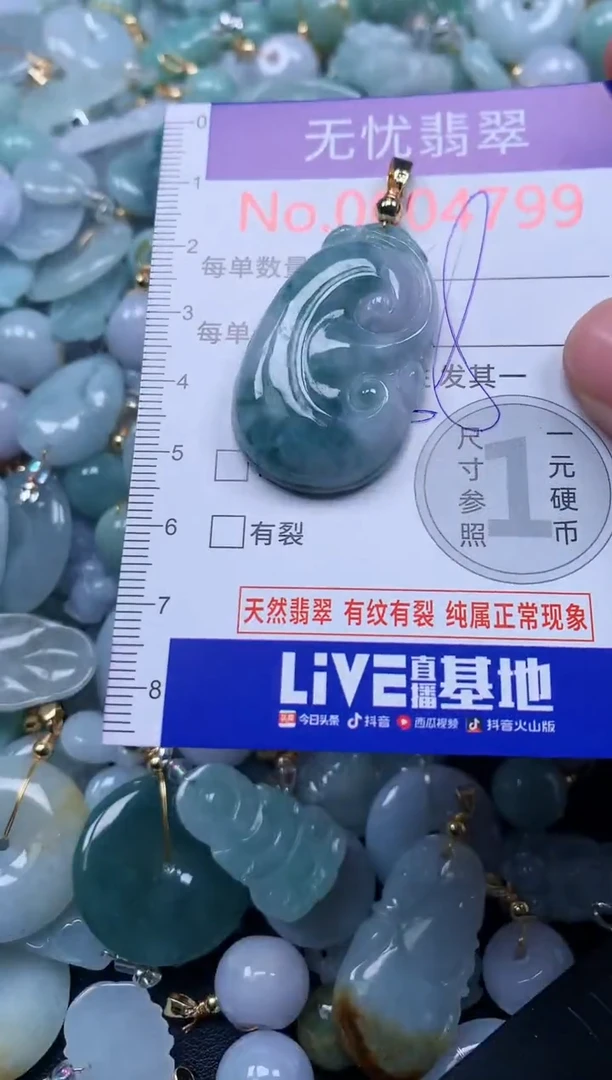 颈饰未镶嵌翡翠4799