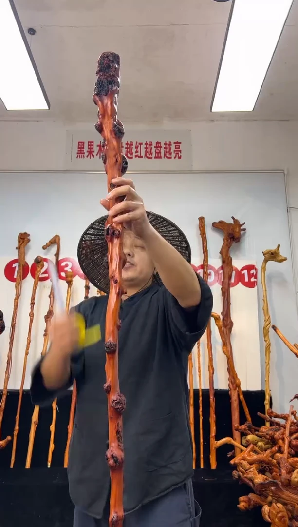 黑果木其他黑果木169