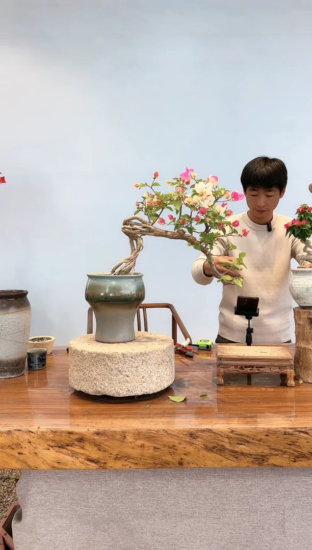 【闪购商品】aa917