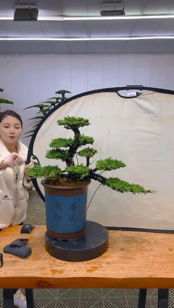 无花朵一物一拍一物一拍