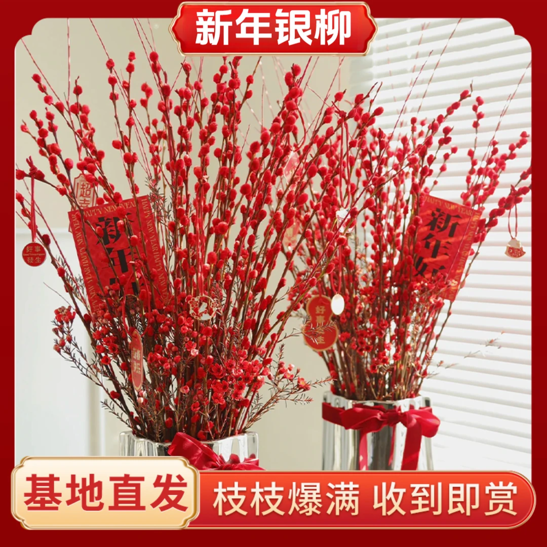 【买十送十+送挂件】银柳真花鲜枝红色年宵花卉室内干枝红柳可水培