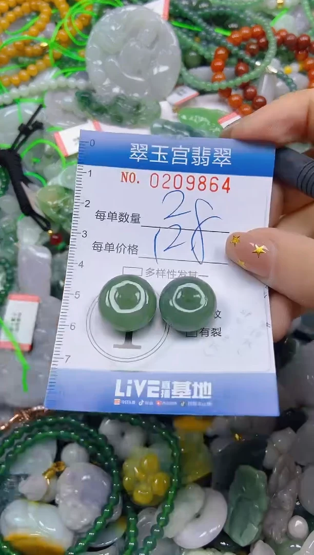 颈饰未镶嵌翡翠闪购C0209864