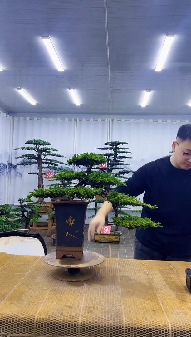 无花朵0000000000000000