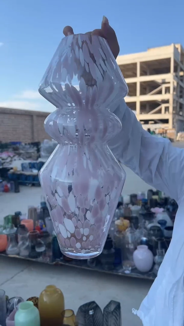 玻璃花瓶用于客厅桌面插花装饰