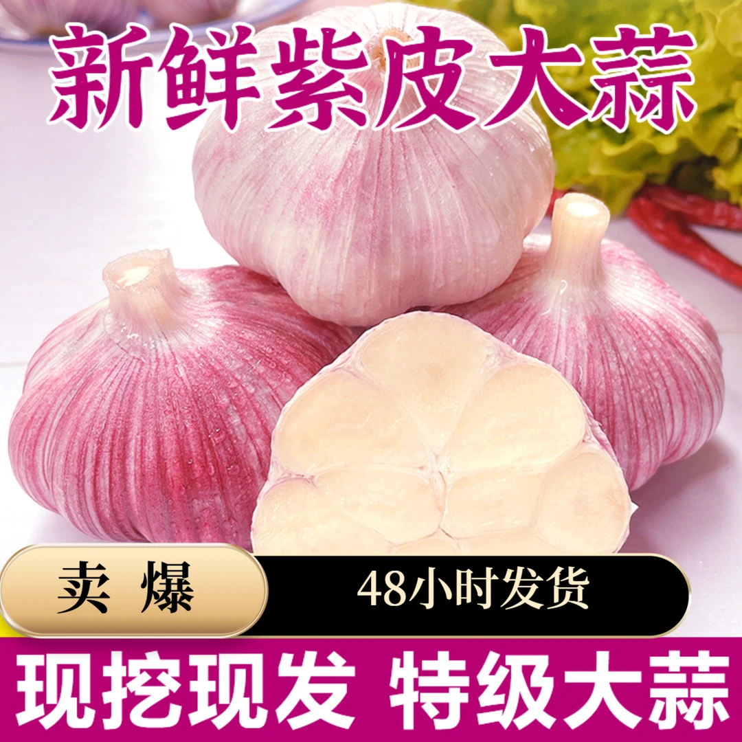 2025年特级新鲜大蒜头山东金乡鲜蒜紫皮大蒜腌制现挖嫩蒜湿蒜生蒜