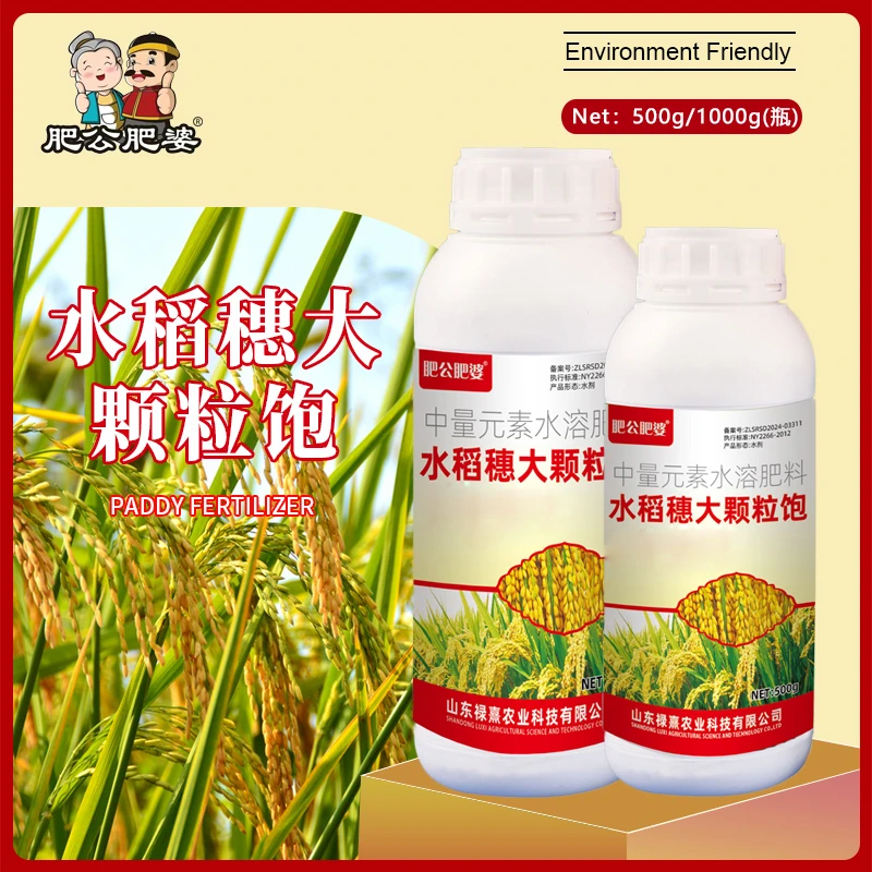 水稻穗大颗粒饱水稻专用生根壮苗促进分蘖籽粒灌浆穗大粒饱高产肥