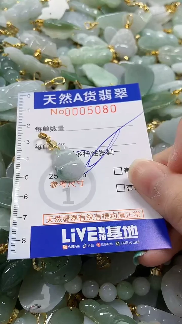 颈饰未镶嵌翡翠纯天然货翡翠