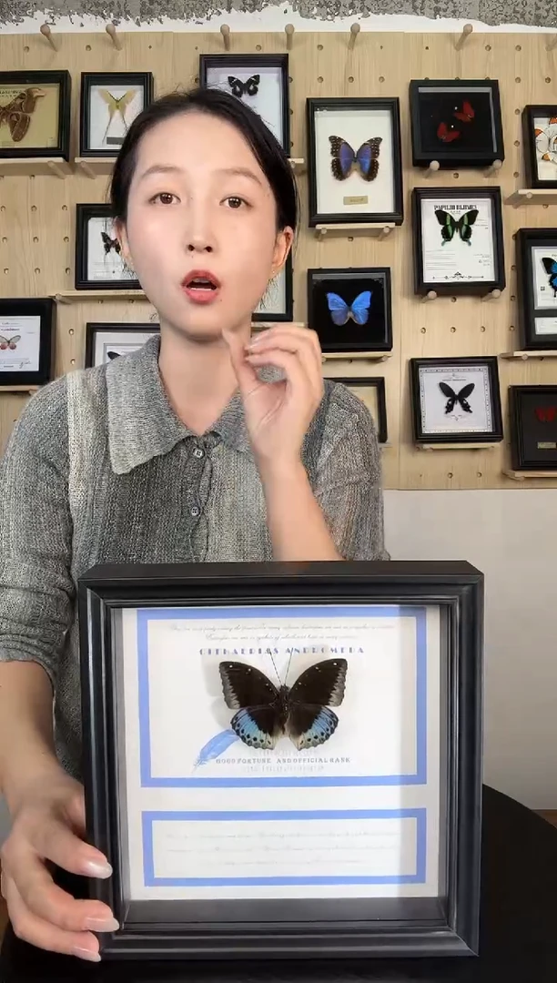 小豹律蛱蝶蝴蝶装饰画8寸框