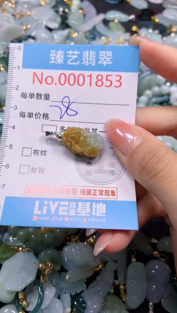 颈饰未镶嵌翡翠1853