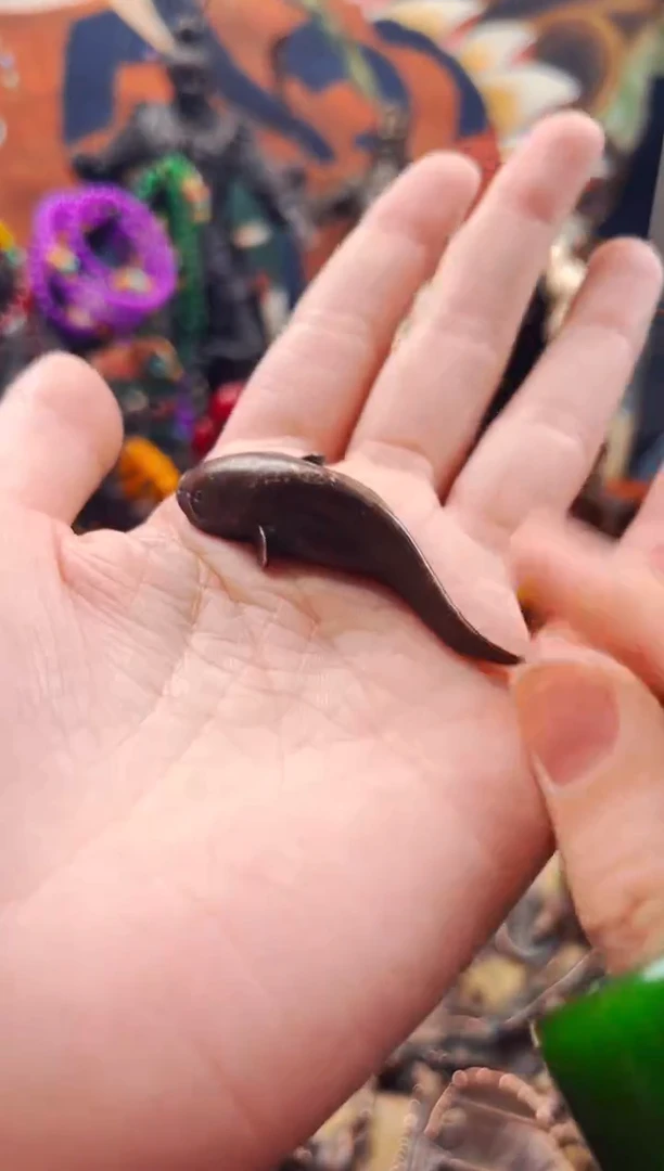 【闪购商品】飞姐专属精品推荐