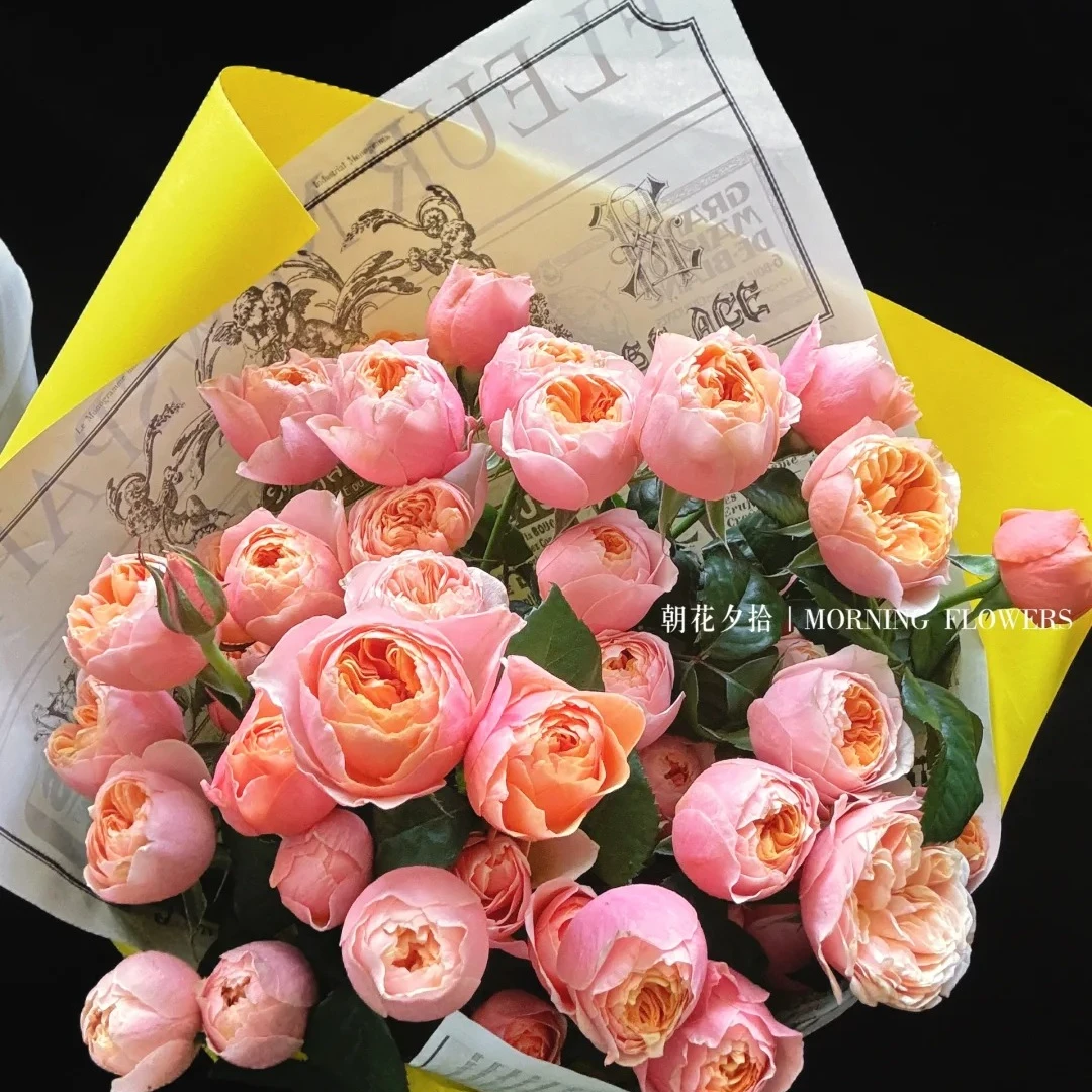 粉蝴蝶，多头玫瑰，1单冷链包邮，2单升级顺丰，远的发德邦