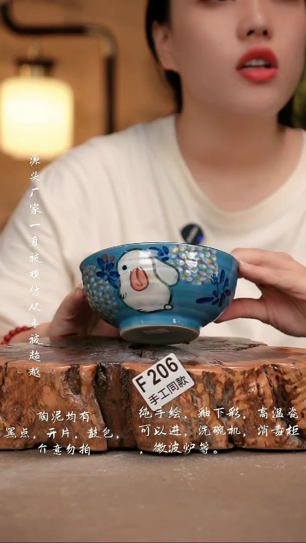 其他F206 新十二器