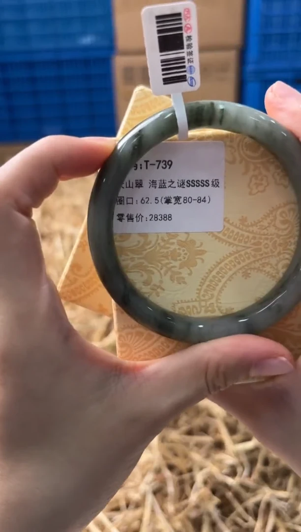 未镶嵌手镯石英质玉T-739